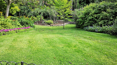 Pest Control Gull Lake Services